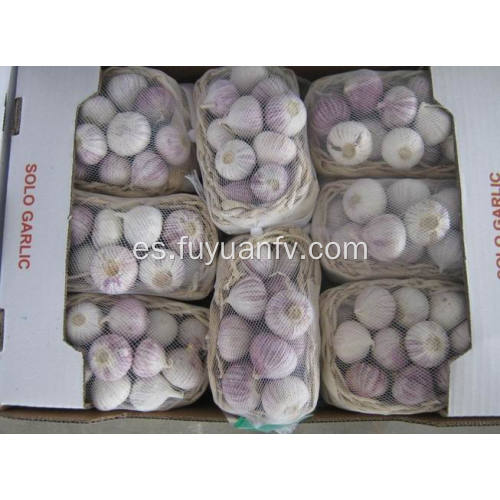 Fresh Yunnan Solo Garlic